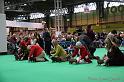 Crufts2011_2 1574